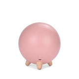 TONGER® Pink Pet House Night Light