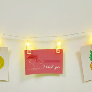 TONGER® Photo Clip LED String Light